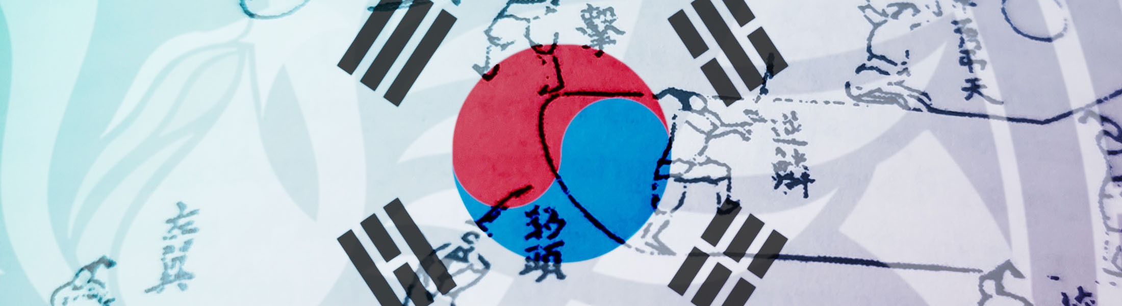 Rising Phoenix TSD - Our History